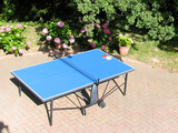 Ping Pong